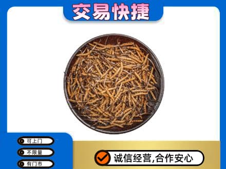 吴忠市盐池高价回收散虫草